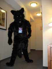 MacLeod MFF2007 053