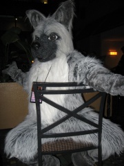 MacLeod MFF2007 056