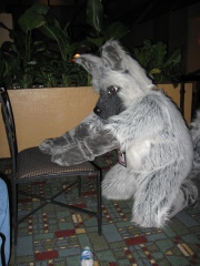 MacLeod MFF2007 058