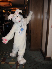 MacLeod MFF2007 071