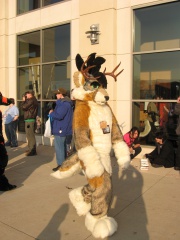 MacLeod MFF2009 0945