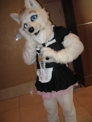 MacLeod MFF2009 0953