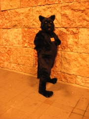 MacLeod MFF2009 0970
