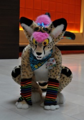 SeanC MFF2011 019