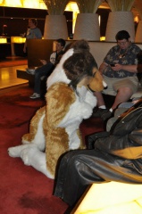 SeanC MFF2011 048