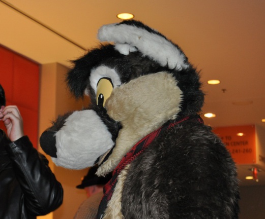 SeanC MFF2011 084