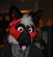 SeanC MFF2011 097