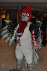 SeanC MFF2012 190