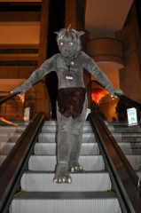 SeanC MFF2012 202