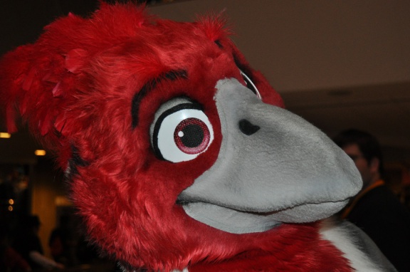 SeanC MFF2012 216