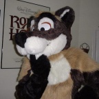 Fursuit Image15