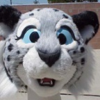 Fursuit WinterWolf NewSnowLeopard Work7