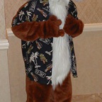 Fursuit ac2k 029