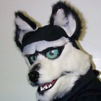 Fursuit another