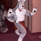 Fursuit cf9 11