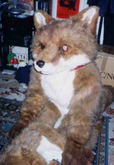 Fursuit fox9