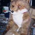 Fursuit fox9