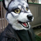 Fursuit wolf004