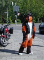 Fursuit you didnt know my bike