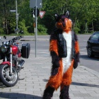 Fursuit you didnt know my bike