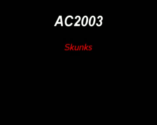 Timduru AC2003 05 Skunks xvid vorbis