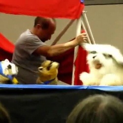 Anthrocon