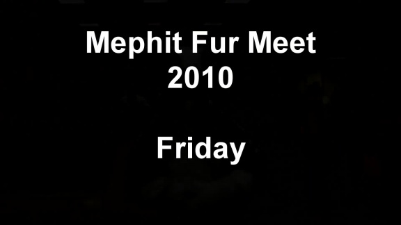 MichelMephit MFM2010 Friday