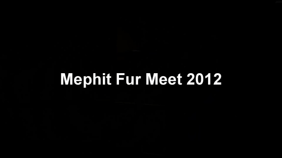 MichelMephit MephitFurMeet2012