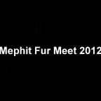 MichelMephit MephitFurMeet2012