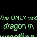 dragon wrestling