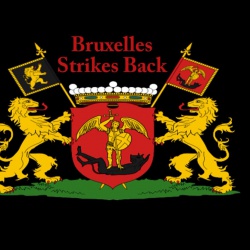 201004 BruxellesStrikesBack