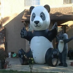Squirrel and giant panda