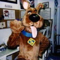 scooby1 2