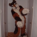 furbo-cast