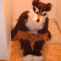 furbo-croutch