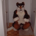 furbo-fait-le-beau
