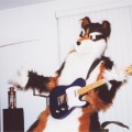 furbo-guitare