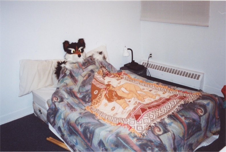 furbo-in-the-bed.jpg