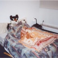 furbo-in-the-bed