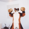 furbo-muscle