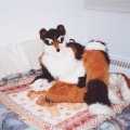 furbo-on-the-bed