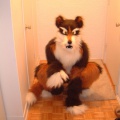 furbo-paw3