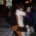 furbo-seul