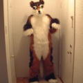 furbo-stand