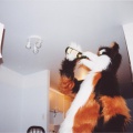 furbo-wisky