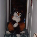 furbo corridor