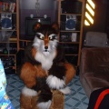 furbo pouf