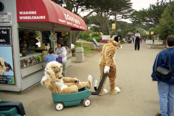 sfzoo-2000-07b 2