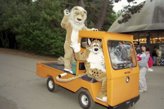 sfzoo-2000-07c 1