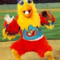 chicken